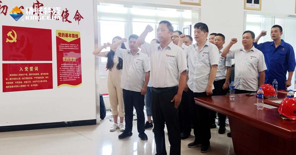 PP电子特瓷党支部组织寓目庆祝中国共产党建设100周年大会现场直播